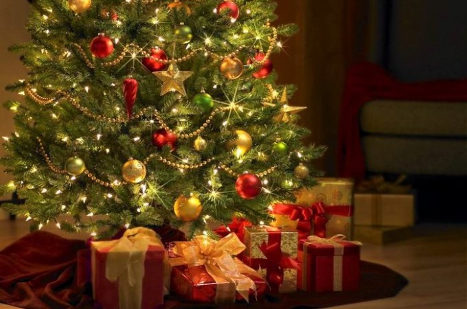 ক্রিসমাস ট্রি