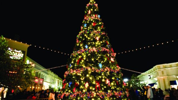 ক্রিস্টমাস ট্রি