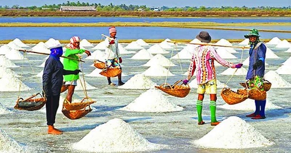 লবণ