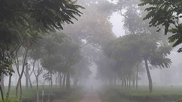 কুয়াশা
